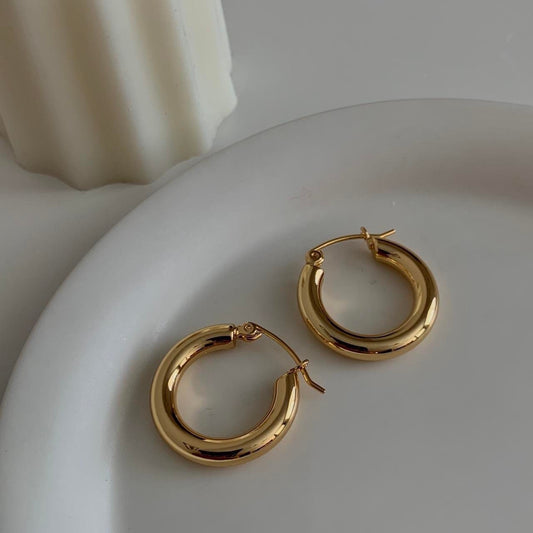 Gold hoops earrings, silver hoops earrings
